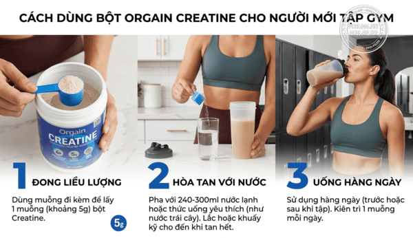 Cách dùng bột Orgain Creatine cho người mới tập gym